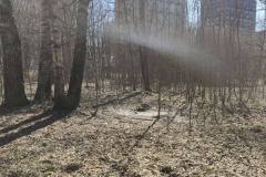 Уборка прихрамовой территории и окрестностей 23.03.2025
