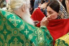 Вход Господень в Иерусалим (Вербное воскресенье) 