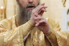 Управляющий викариатством Новых территорий, викарий Святейшего Патриарха Московского и всея Руси епископ Павлово-Посадский Силуан