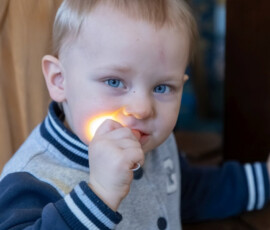 Праздник Сретения Господня